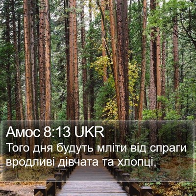 Амос 8:13 UKR Bible Verse Image