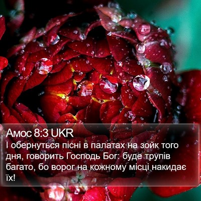 Амос 8:3 UKR Bible Verse Image