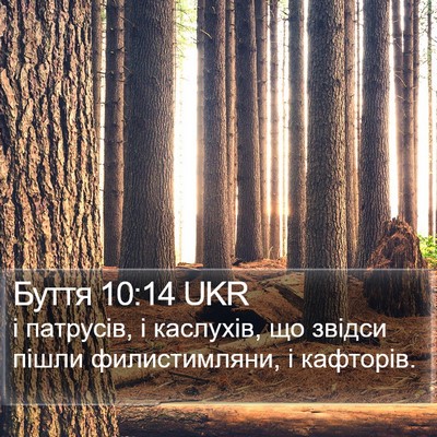 Буття 10:14 UKR Bible Verse Image