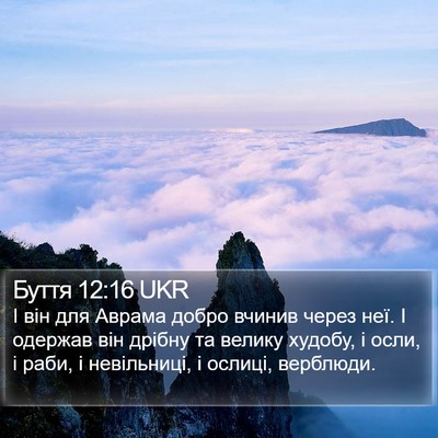 Буття 12:16 UKR Bible Verse Image