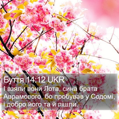 Буття 14:12 UKR Bible Verse Image