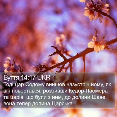 Буття 14:17 UKR Bible Verse Image