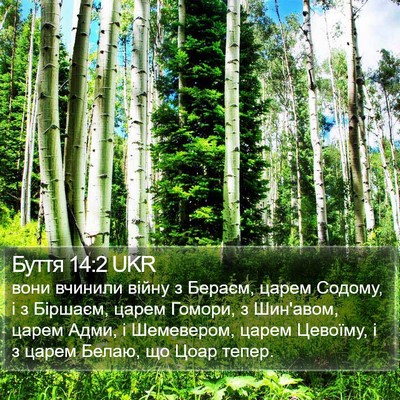 Буття 14:2 UKR Bible Verse Image
