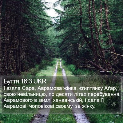 Буття 16:3 UKR Bible Verse Image
