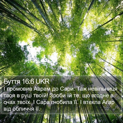 Буття 16:6 UKR Bible Verse Image