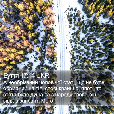 Буття 17:14 UKR Bible Verse Image