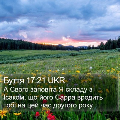 Буття 17:21 UKR Bible Verse Image
