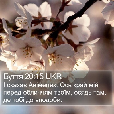 Буття 20:15 UKR Bible Verse Image
