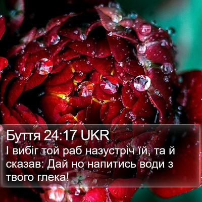 Буття 24:17 UKR Bible Verse Image