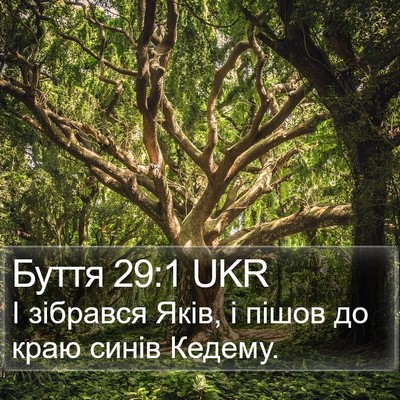 Буття 29:1 UKR Bible Verse Image