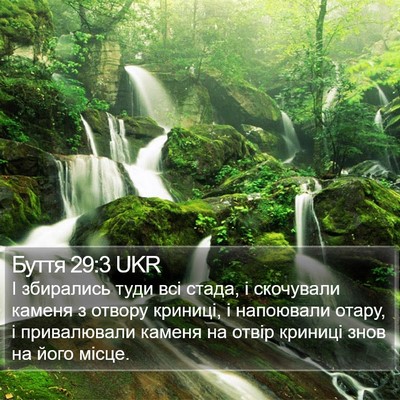 Буття 29:3 UKR Bible Verse Image