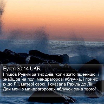 Буття 30:14 UKR Bible Verse Image