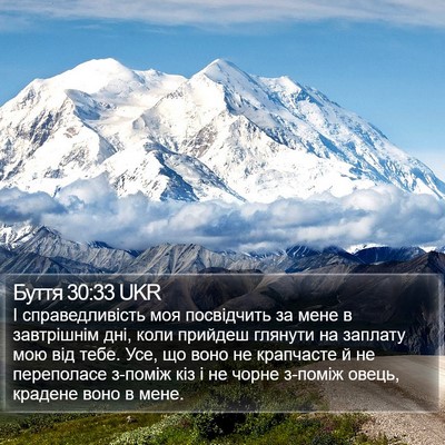 Буття 30:33 UKR Bible Verse Image