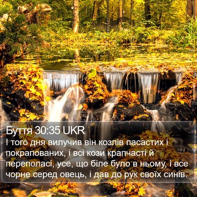 Буття 30:35 UKR Bible Verse Image