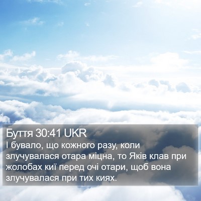 Буття 30:41 UKR Bible Verse Image