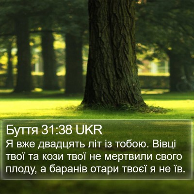 Буття 31:38 UKR Bible Verse Image