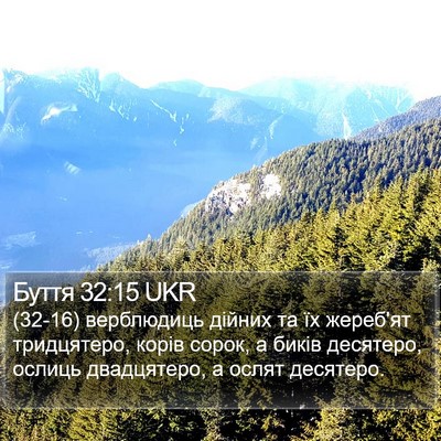 Буття 32:15 UKR Bible Verse Image