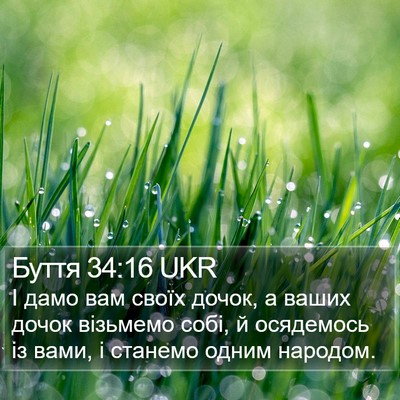 Буття 34:16 UKR Bible Verse Image