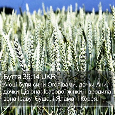 Буття 36:14 UKR Bible Verse Image