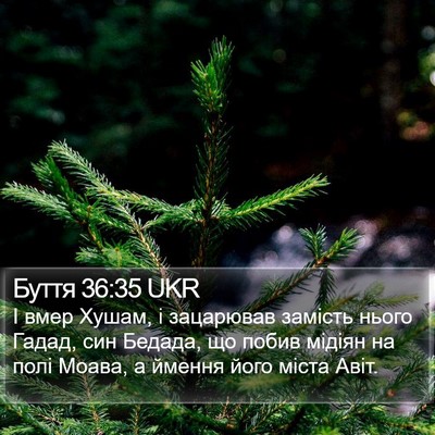 Буття 36:35 UKR Bible Verse Image