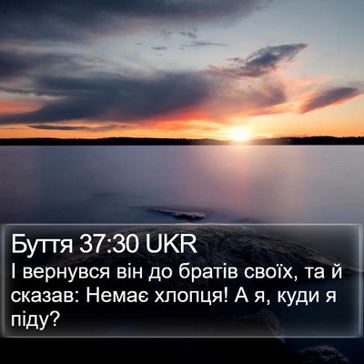 Буття 37:30 UKR Bible Verse Image