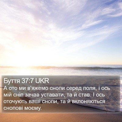 Буття 37:7 UKR Bible Verse Image
