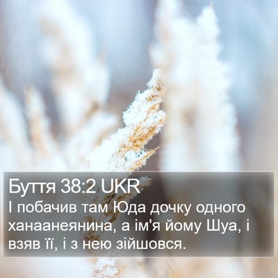 Буття 38:2 UKR Bible Verse Image