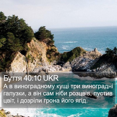 Буття 40:10 UKR Bible Verse Image
