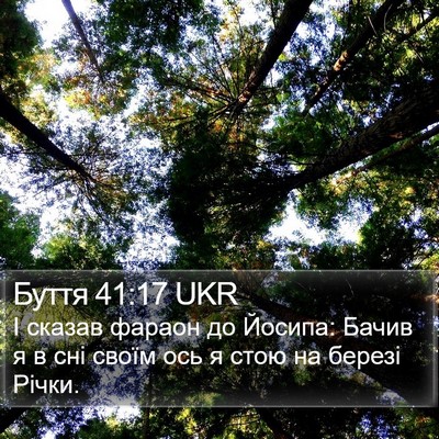 Буття 41:17 UKR Bible Verse Image