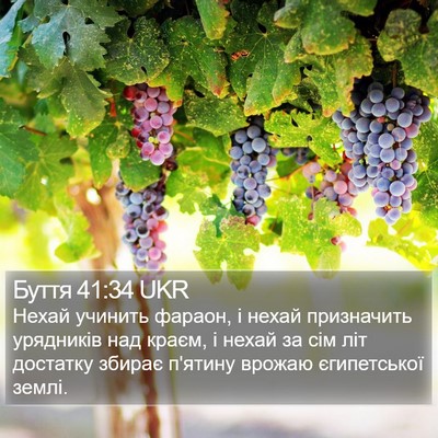 Буття 41:34 UKR Bible Verse Image