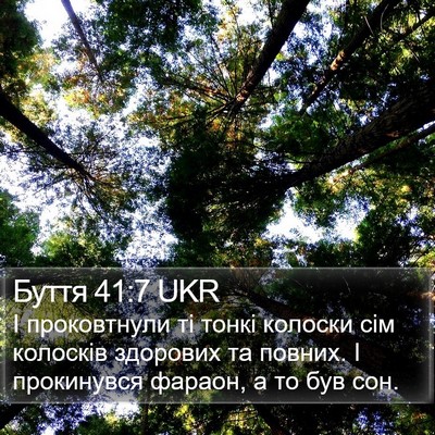 Буття 41:7 UKR Bible Verse Image
