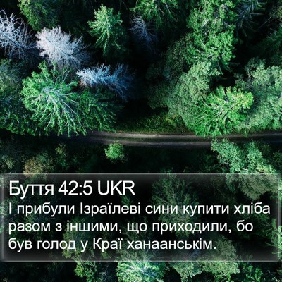 Буття 42:5 UKR Bible Verse Image