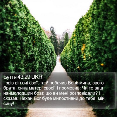 Буття 43:29 UKR Bible Verse Image
