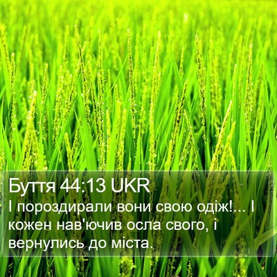 Буття 44:13 UKR Bible Verse Image