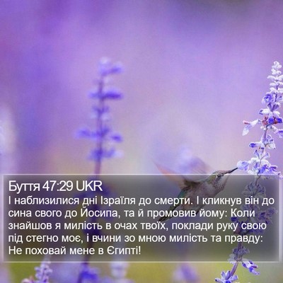 Буття 47:29 UKR Bible Verse Image