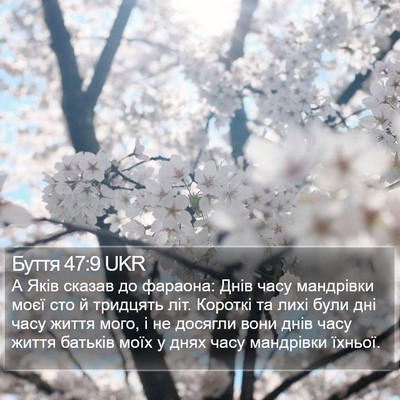 Буття 47:9 UKR Bible Verse Image