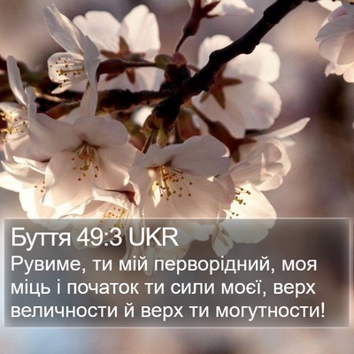 Буття 49:3 UKR Bible Verse Image
