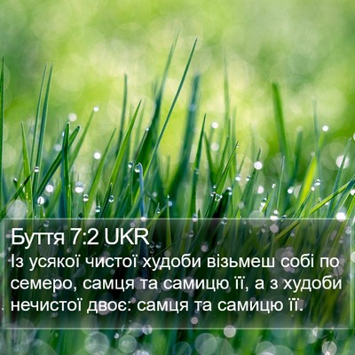 Буття 7:2 UKR Bible Verse Image