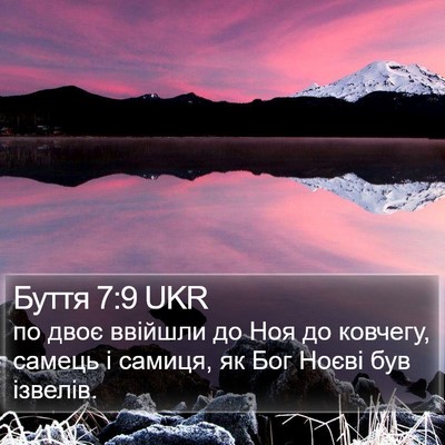 Буття 7:9 UKR Bible Verse Image