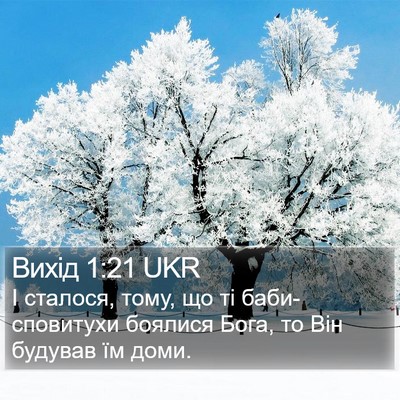Вихід 1:21 UKR Bible Verse Image