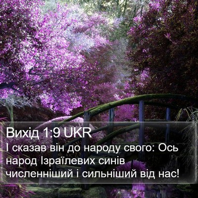 Вихід 1:9 UKR Bible Verse Image