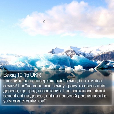 Вихід 10:15 UKR Bible Verse Image