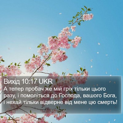 Вихід 10:17 UKR Bible Verse Image