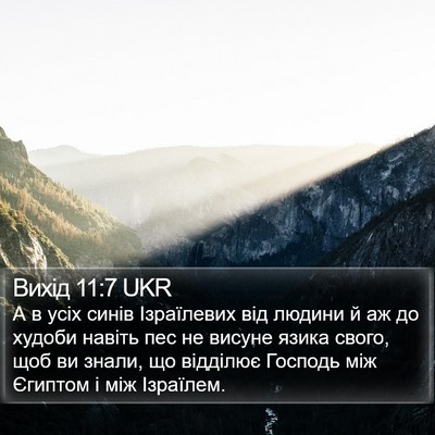 Вихід 11:7 UKR Bible Verse Image