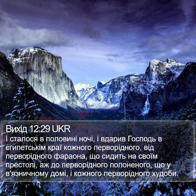 Вихід 12:29 UKR Bible Verse Image