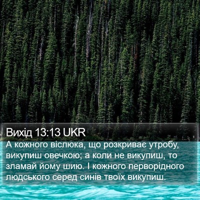 Вихід 13:13 UKR Bible Verse Image