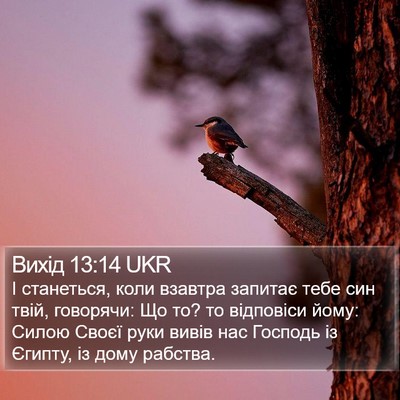 Вихід 13:14 UKR Bible Verse Image