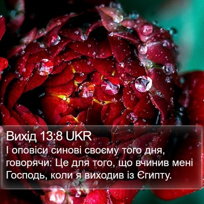 Вихід 13:8 UKR Bible Verse Image