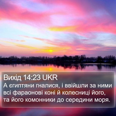 Вихід 14:23 UKR Bible Verse Image