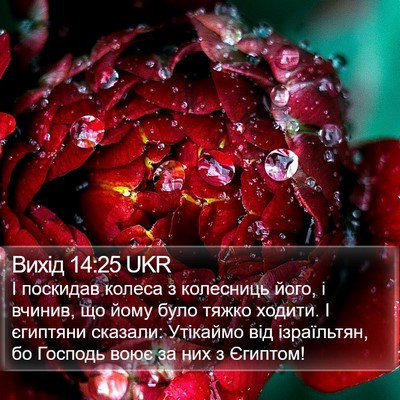 Вихід 14:25 UKR Bible Verse Image